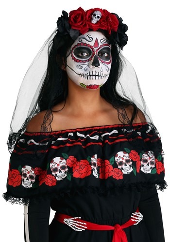Day of the Dead Womens Veil