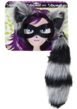 Raccoon Costume Kit