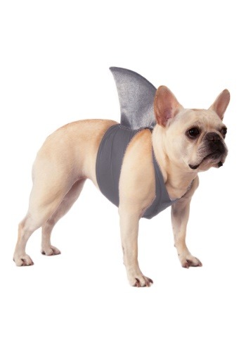 Pet Shark Fin Costume update 1