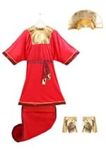 Disney Emperor's New Groove Kuzco Mens Costume Flat