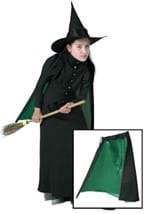 Classic Costume Witch Cape Alt 1