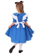 Deluxe Toddler Alice Costume2