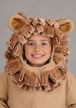 Lion Child Costume Alt 4