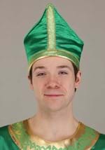 Adult Saint Patrick Costume Alt 5