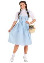 Kansas Girl Long Dress Costume update1