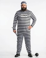 Striped Plus Size Prisoner Costume Alt 1