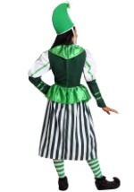 Plus Size Deluxe Munchkin Woman Costume back