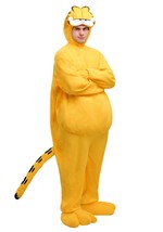 Garfield Adult Costume 5