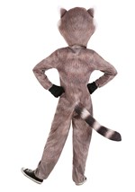 Kid's Realistic Raccoon Costume Back