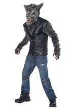 Child Full Moon Fury Costume