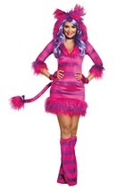Wonderland Magic Cat Women's Costume