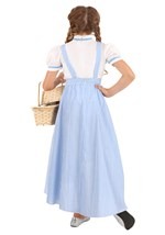 Girl's Hi-Lo Gingham Dress Costume Alt 1