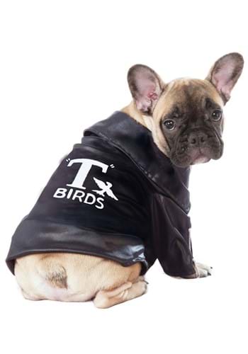 Grease T Bird Jacket Pet Dog Costume