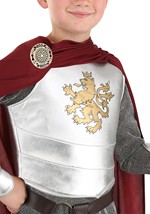 Child's Lionheart Knight Costume Alt 1