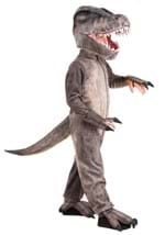 Toddler Costume TRex