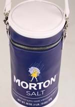 Morton Salt Girl Purse Alt 3