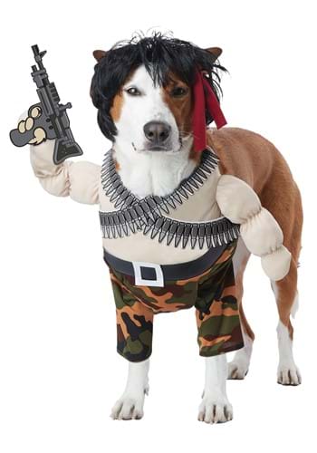 Action Hero Pet Cat Costume