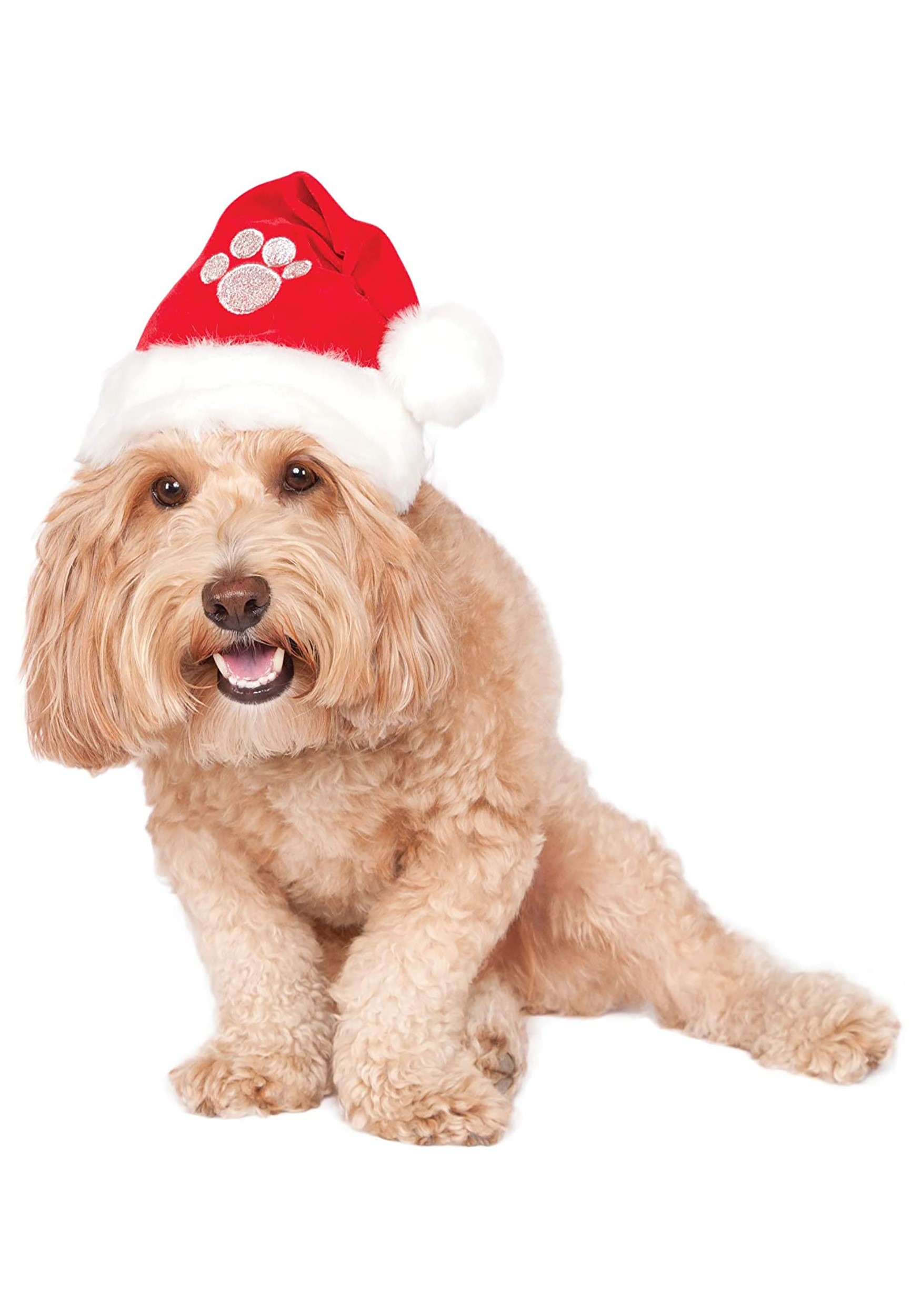 Santa hat shop on dog