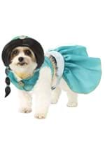 Aladdin Jasmine Dog Costume