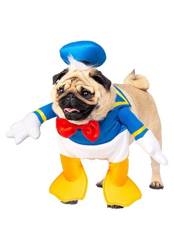 Donald Duck Dog Costume