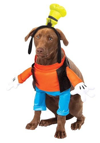 Goofy Dog Costume