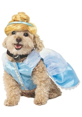 Cinderella Dog Costume