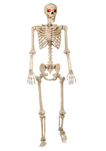 Mr. Crazy Bonez Animated Skeleton Alt 4