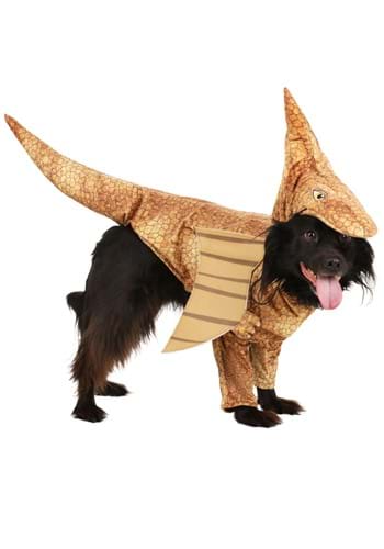 Pterodactyl Pet Costume