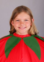 Kid's Inflatable Tomato Costume Alt 1