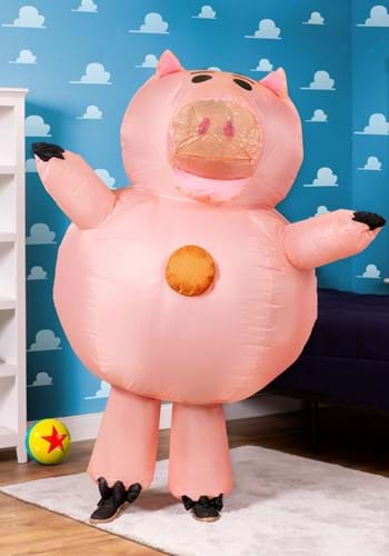 Pig Costumes For Adults & Kids 