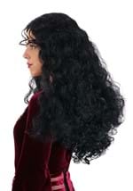 Tangled Mother Gothel Wig Alt 2