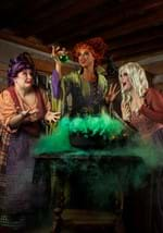 Women's Hocus Pocus Winifred Sanderson Costume Alt 7