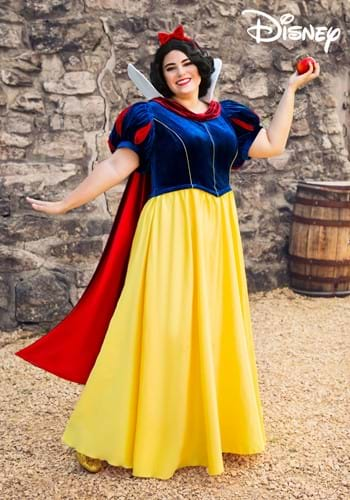 Plus Size Disney Snow White Evil Queen Costume for Women