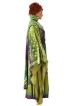 Plus Size Hocus Pocus Winifred Sanderson Costume Alt 5