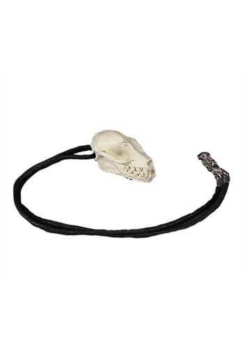 Bat Skull Necklace & Pin