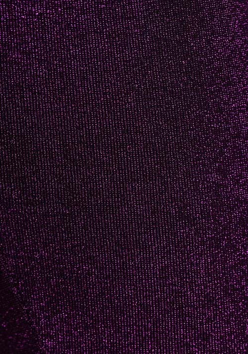 Tejano Pop Singer Costume for Women | Celebrity Costumes