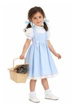 Deluxe Kansas Girl Toddler Costume upd