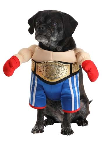 Boxer Pet Dog Costume