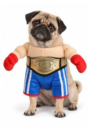 Champion Pet Boxer Costume upd