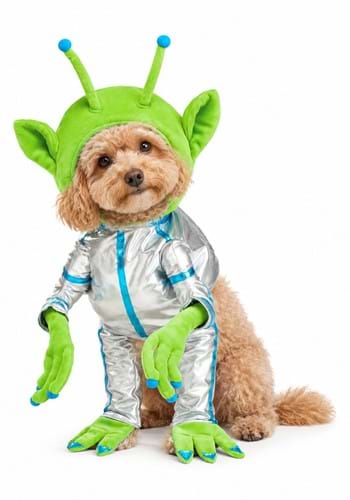 Pet Green Alien Costume upd