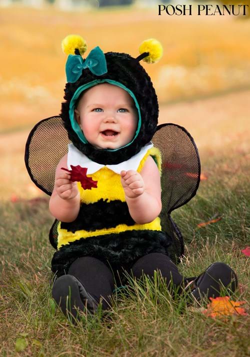 Posh Peanut Beatrice Bumble Bee Infant Costume Posh update