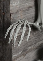 5 Ft Posable Skeleton (M38299) Alt 3