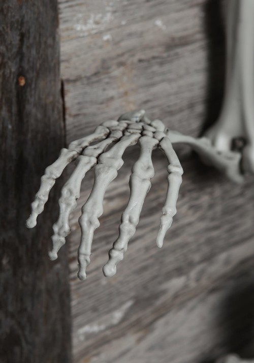 5FT Life Size Georgie the Skeleton Posable Decoration | Skeleton ...