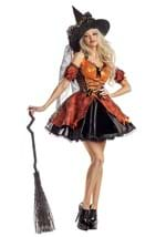 Women's Harvest Witch Costume