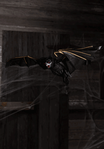 35 Animated Bat