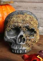 Moss Covered Skull-2_Update