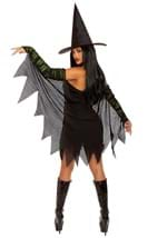 Women's Miss Enchantment Adult Costume Alt 1