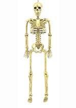 24" Gold Skeleton Alt 1