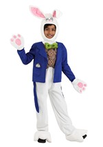 Kid's Whimsical White Rabbit Alt 1