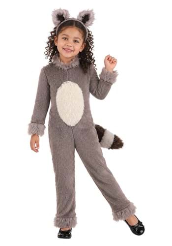 Toddler Girls Raccoon Costume New Main